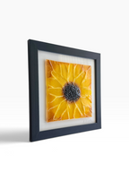 Sunflower — Small Framed Fused Glass Art