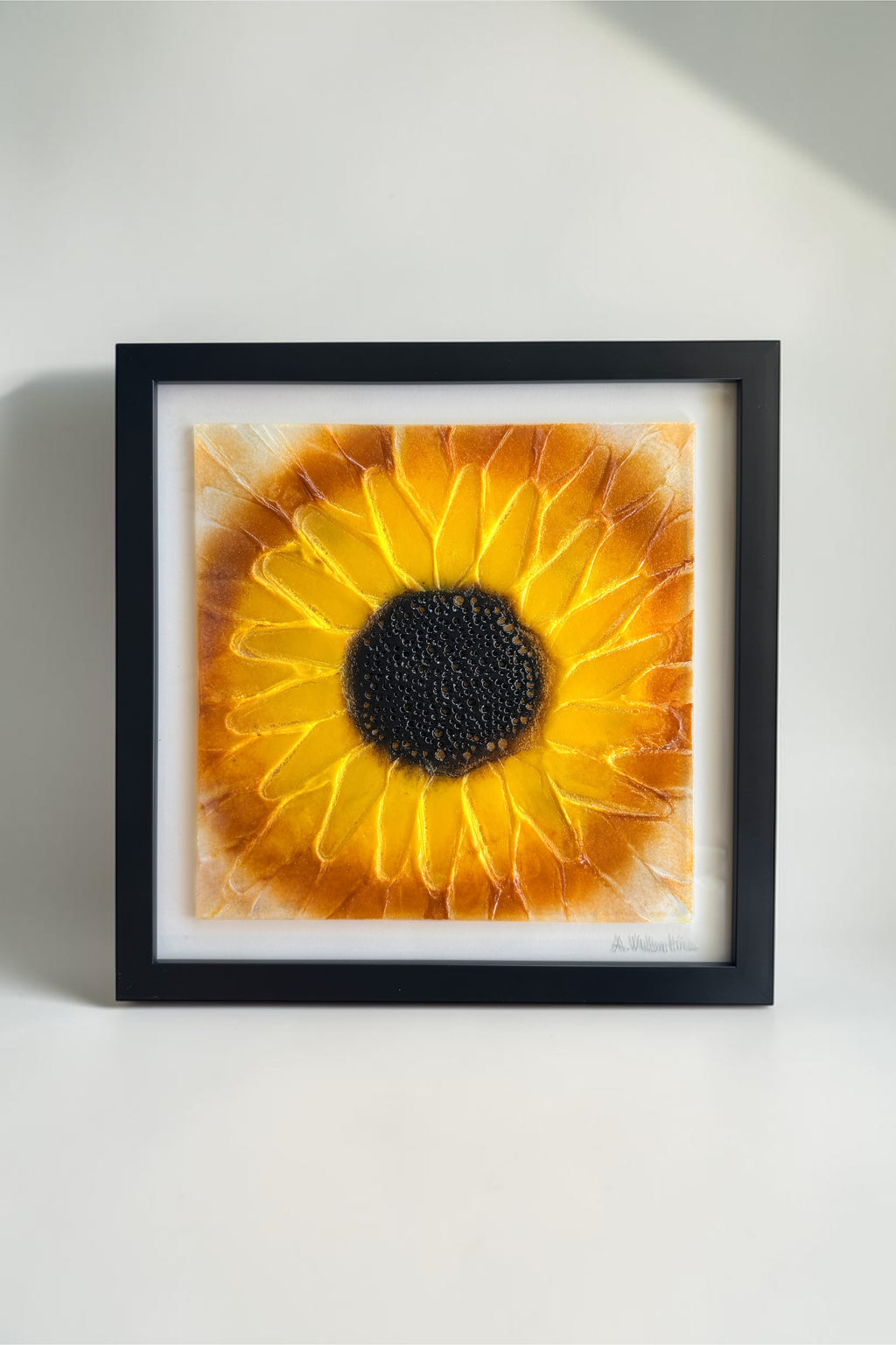 Late Summer Sunflower