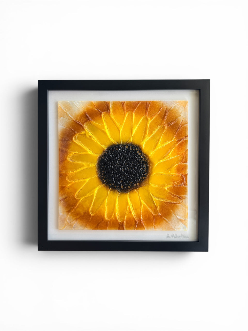 Late Summer Sunflower